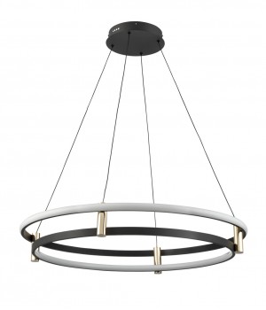 Подвесной светильник Vele Luce Libertas VL7314P24-foto2