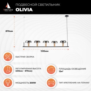 Подвесной светильник Vele Luce Olivia VL5642P05-foto5