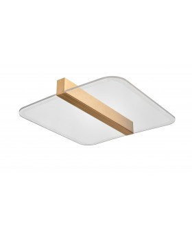 Потолочный светильник Vele Luce Futuro VL7224L21-foto2