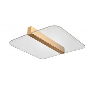 Потолочный светильник Vele Luce Futuro VL7224L21-foto2