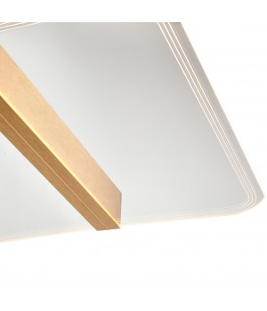 Потолочный светильник Vele Luce Futuro VL7224L21-foto3