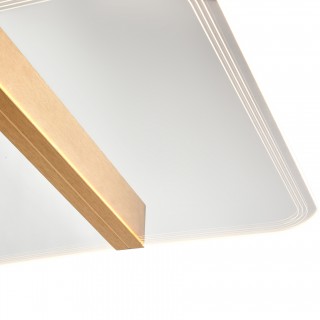 Потолочный светильник Vele Luce Futuro VL7224L21-foto3