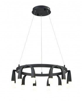 Подвесной светильник Vele Luce Negro VL7102P12-foto2