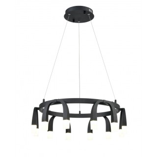 Подвесной светильник Vele Luce Negro VL7102P12-foto2