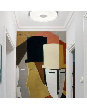 Потолочный светильник Vele Luce Flash VL7215L01-foto5