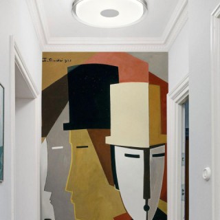 Потолочный светильник Vele Luce Flash VL7215L01-foto5