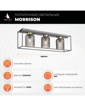Потолочный светильник Vele Luce Morrison VL5472L03-foto4