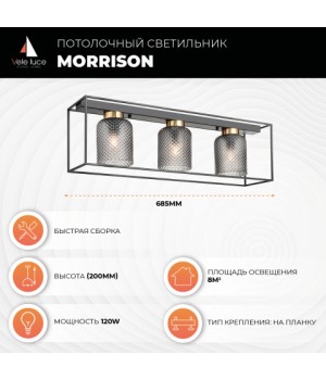 Потолочный светильник Vele Luce Morrison VL5472L03-foto4