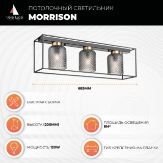 Потолочный светильник Vele Luce Morrison VL5472L03-foto4