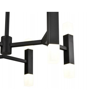 Потолочный светильник Vele Luce Niami VL7142L12-foto4