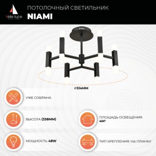 Потолочный светильник Vele Luce Niami VL7142L12-foto5