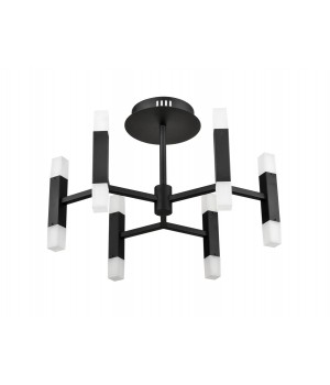 Потолочный светильник Vele Luce Niami VL7142L12-foto3