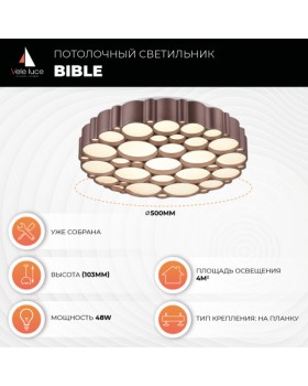 Потолочный светильник Vele Luce Bible VL7156L01-foto6