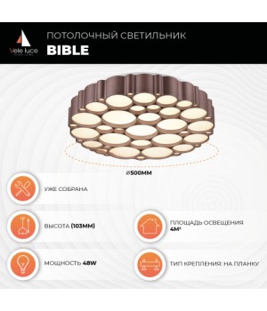 Потолочный светильник Vele Luce Bible VL7156L01-foto6