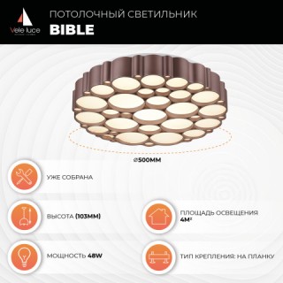 Потолочный светильник Vele Luce Bible VL7156L01-foto6