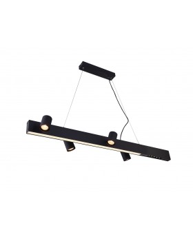 Подвесной светильник Vele Luce Chela VL10142P24-foto2