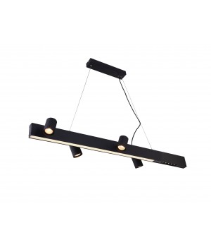 Подвесной светильник Vele Luce Chela VL10142P24-foto2