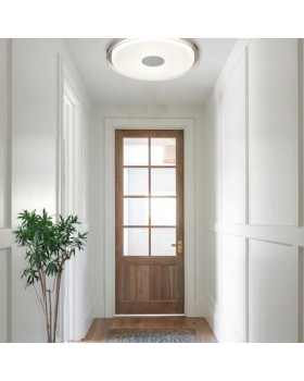 Потолочный светильник Vele Luce Flash VL7214L01-foto6