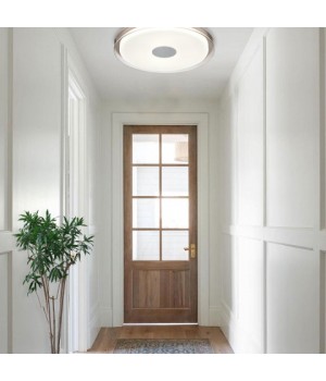 Потолочный светильник Vele Luce Flash VL7214L01-foto6