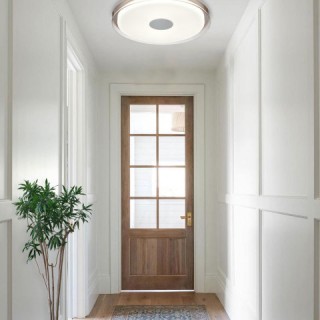 Потолочный светильник Vele Luce Flash VL7214L01-foto6