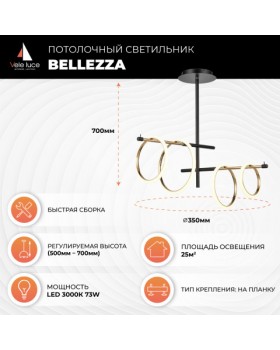 Потолочный светильник Vele Luce Bellezza VL7262L04-foto5