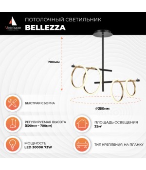 Потолочный светильник Vele Luce Bellezza VL7262L04-foto5