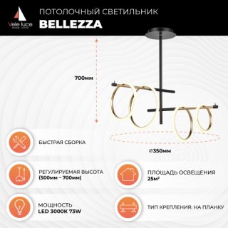 Потолочный светильник Vele Luce Bellezza VL7262L04-foto5