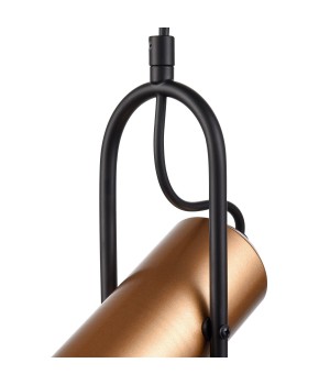 Подвесной светильник Vele Luce Pacifico VL5804P01-foto3