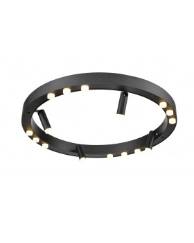 Потолочный светильник Vele Luce Satellite VL7172L12-foto2