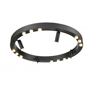 Потолочный светильник Vele Luce Satellite VL7172L12-foto2