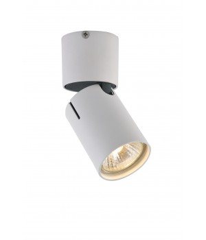 Спот Vele Luce Carrisi VL8061S21-foto2