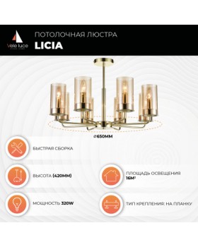 Потолочная люстра Vele Luce Licia VL1924L08-foto3