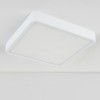 Накладной светодиодный светильник DLS034 18W 4200K