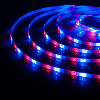 Светодиодная лента Лента светодиодная 12V 4,8W 60Led 2835 IP65 RGB, 5м-foto6