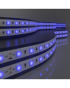 Светодиодная лента Лента светодиодная 24V 14,4W 60Led 5050 IP20 синий, 5м