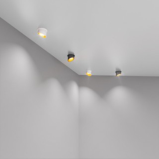 Встраиваемый точечный светильник 7005 MR16 WH/GD белый/золото-foto2