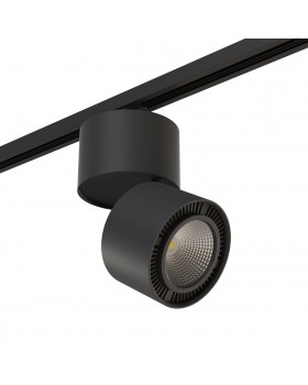 Комплект со светильником Forte Forte Muro Lightstar A1T214857