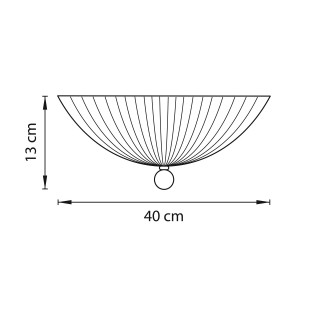 Плафон потолочный Zucche Lightstar 820830-foto2