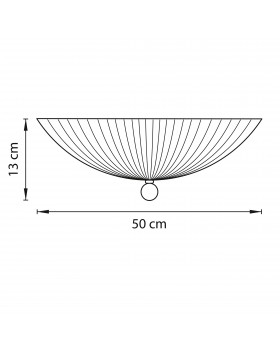 Плафон потолочный Zucche Lightstar 820840-foto2