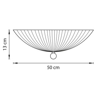 Плафон потолочный Zucche Lightstar 820840-foto2