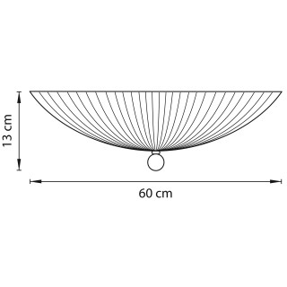 Плафон потолочный Zucche Lightstar 820860-foto2