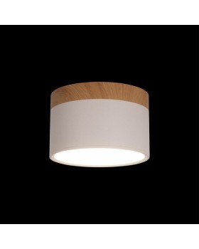 10162 White Накладной светильник LOFT IT Grape-foto2