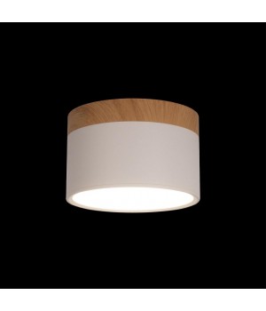 10162 White Накладной светильник LOFT IT Grape-foto2