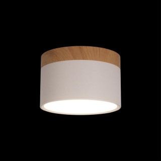 10162 White Накладной светильник LOFT IT Grape-foto2