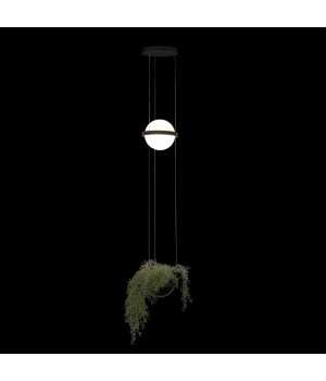 10121/B Подвесной светильник LOFT IT Jardin-foto2