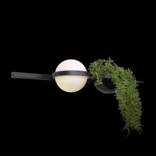 10121W/A Настенный светильник LOFT IT Jardin-foto4