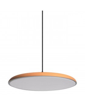 10119 Orange Подвесной светильник LOFT IT Plato-foto3