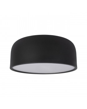 10201/350 Black Потолочный светильник LOFT IT Axel