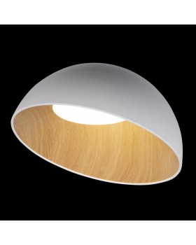 10197/500 White Потолочный светильник LOFT IT Egg-foto2