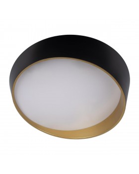 10199 Black Потолочный светильник LOFT IT Coin-foto3